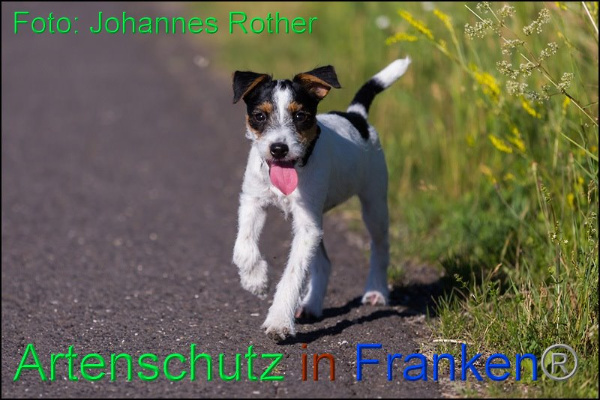 Copyright AiF Johannes Rother Bild zum Eintrag (92312-160)