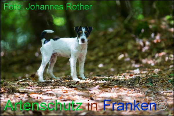 Copyright AiF Johannes Rother Bild zum Eintrag (92313-160)