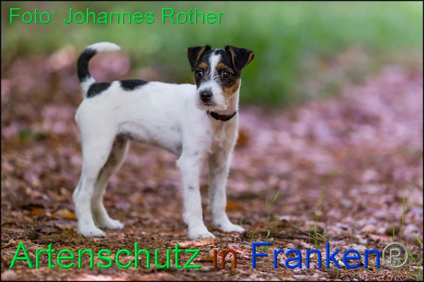 Copyright AiF Johannes Rother Bild zum Eintrag (92314-160)