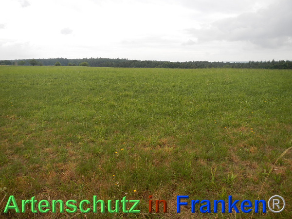 Bild zum Eintrag (93754-160)