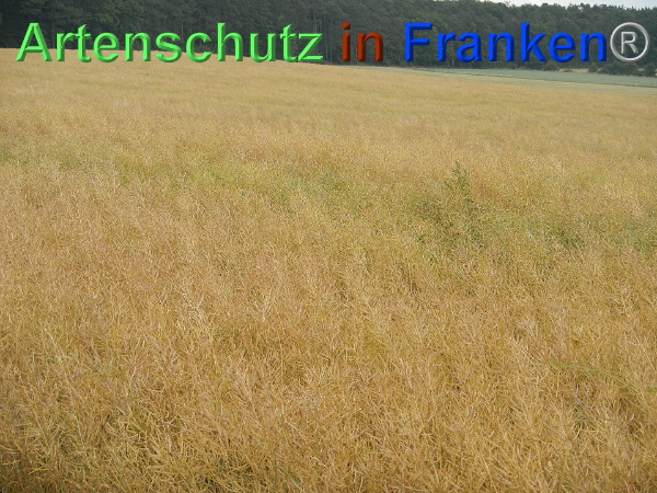 Bild zum Eintrag (93757-160)
