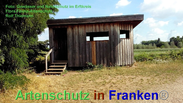 Copyright AiF Rolf Thiemann Bild zum Eintrag (93826-160)
