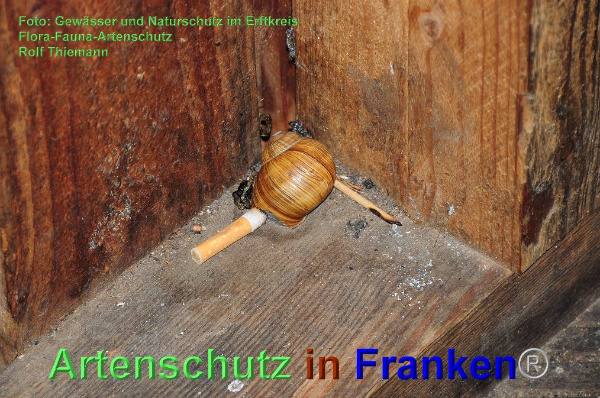 Bild zum Eintrag (93834-160)