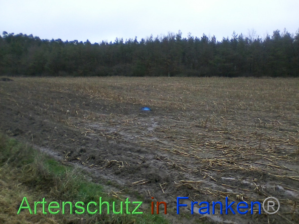 Bild zum Eintrag (97910-160)