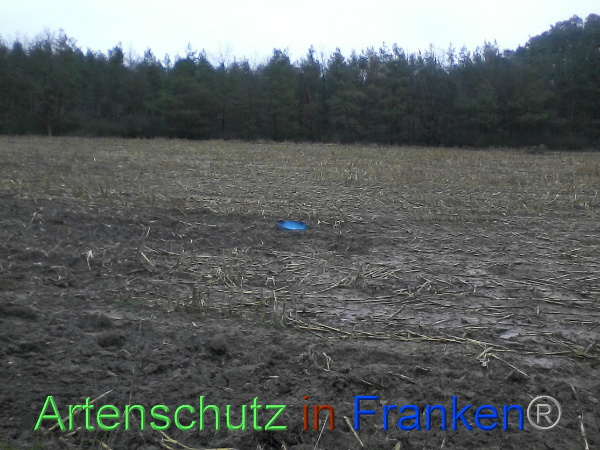 Bild zum Eintrag (97911-160)