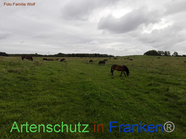 Copyright AiF / Familie Wolf Bild zum Eintrag (98000-160)