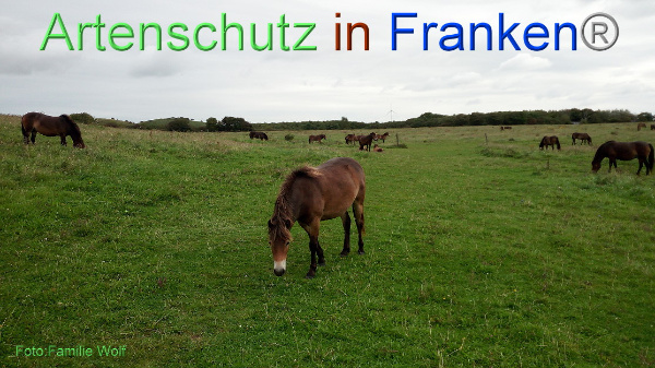 Copyright AiF / Familie Wolf Bild zum Eintrag (98002-160)