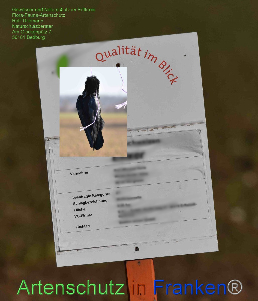 Copyright AiF / Rolf Thiemann Bild zum Eintrag (98317-160)