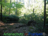 Bild zum Eintrag (102086-177)