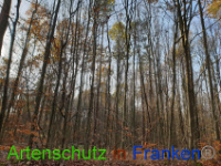 Bild zum Eintrag (1037656-177)