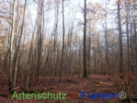 Bild zum Eintrag (1037657-177)