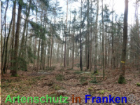 Bild zum Eintrag (1038884-177)