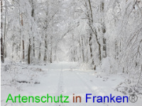 Bild zum Eintrag (1043001-177)