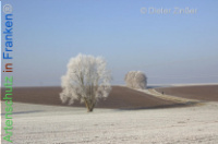 Bild zum Eintrag (1134016-177)