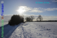 Bild zum Eintrag (1137929-177)