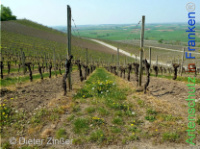 Bild zum Eintrag (1142587-177)