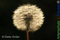 Bild zum Eintrag (1142680-177)
