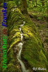 Bild zum Eintrag (47012-177)
