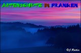 Bild zum Eintrag (47016-177)