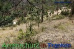 Bild zum Eintrag (63691-177)