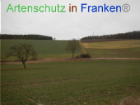 Bild zum Eintrag (1003500-177)