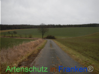 Bild zum Eintrag (1003502-177)