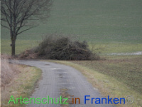 Bild zum Eintrag (1003503-177)