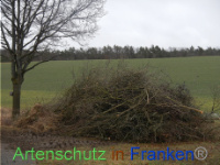 Bild zum Eintrag (1003504-177)