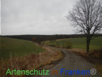 Bild zum Eintrag (1003505-177)