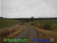 Bild zum Eintrag (1003506-177)