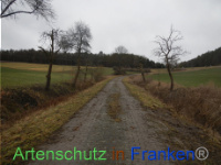 Bild zum Eintrag (1003507-177)