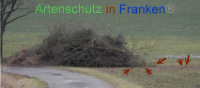 Bild zum Eintrag (1003508-177)