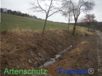 Bild zum Eintrag (1003509-177)