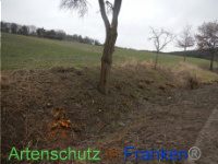 Bild zum Eintrag (1003510-177)