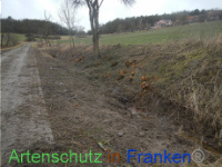 Bild zum Eintrag (1003511-177)