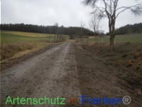 Bild zum Eintrag (1003512-177)