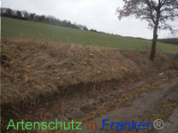 Bild zum Eintrag (1003513-177)