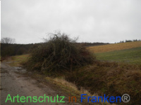 Bild zum Eintrag (1003516-177)