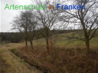 Bild zum Eintrag (1003523-177)