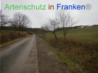 Bild zum Eintrag (1003525-177)