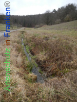 Bild zum Eintrag (1003526-177)