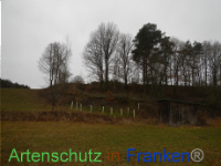 Bild zum Eintrag (1003533-177)