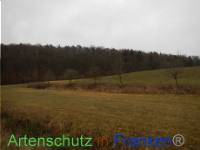 Bild zum Eintrag (1003534-177)