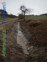 Bild zum Eintrag (1003539-177)