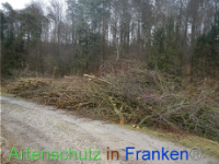 Bild zum Eintrag (1003541-177)