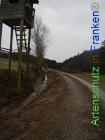 Bild zum Eintrag (1003542-177)