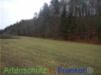 Bild zum Eintrag (1003543-177)