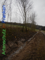 Bild zum Eintrag (1003544-177)