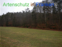 Bild zum Eintrag (1003546-177)