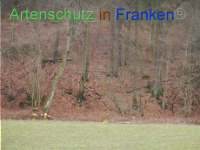 Bild zum Eintrag (1003548-177)